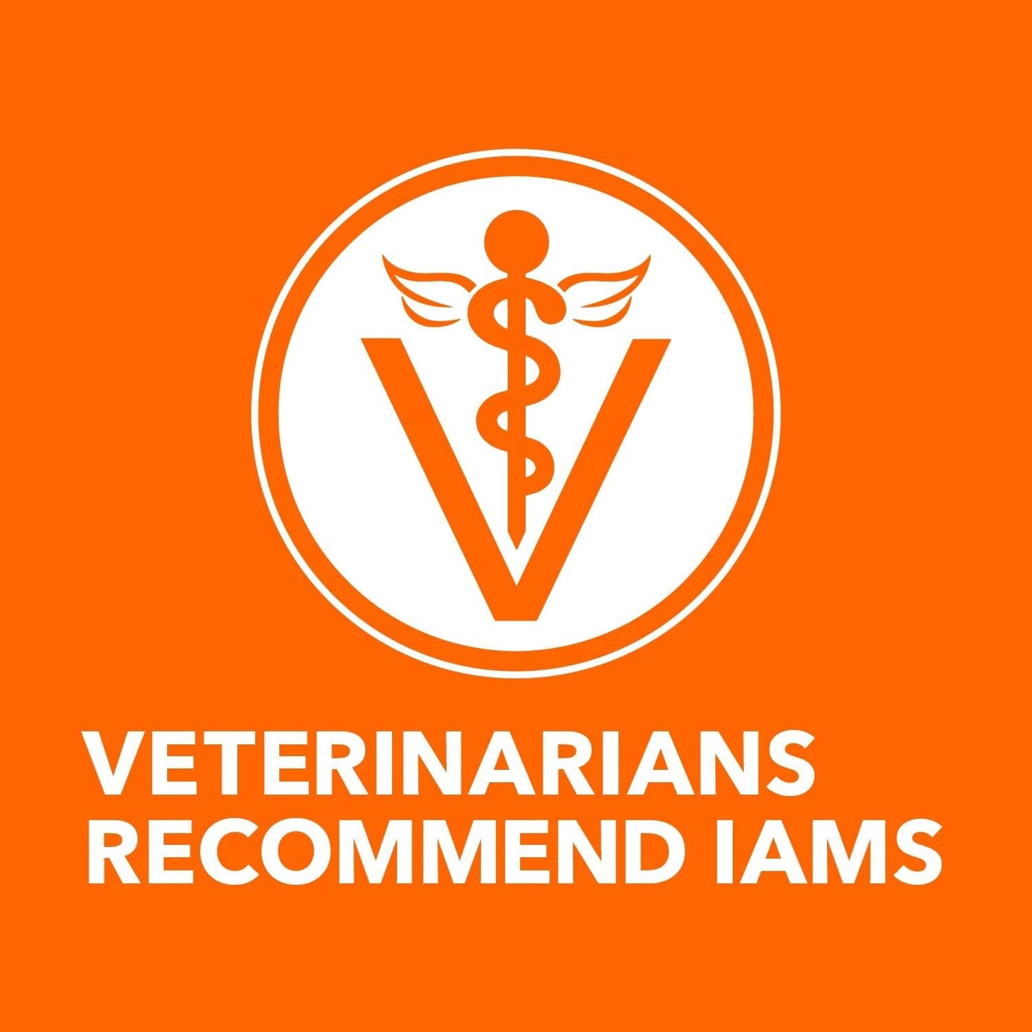 IAMS Proactive Health Adult Healthy Dry Cat Food with Salmon, 7 Lb. Bag